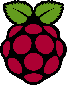 Raspberry Pi - Brian